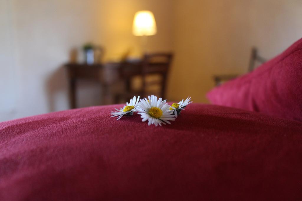 Agriturismo Casavecchia Figline Valdarno Exteriér fotografie